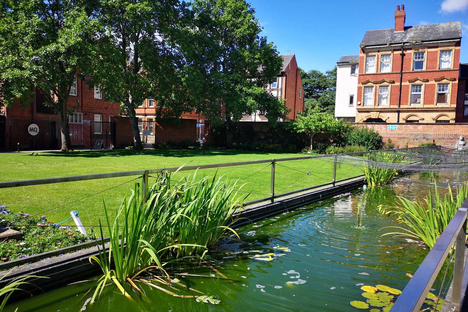 A pond and a garden