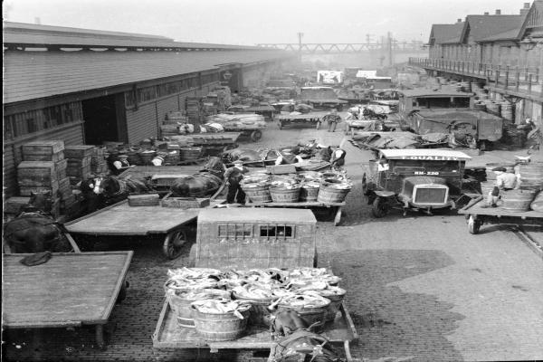 A black and white photograph of vehicles on a dock.