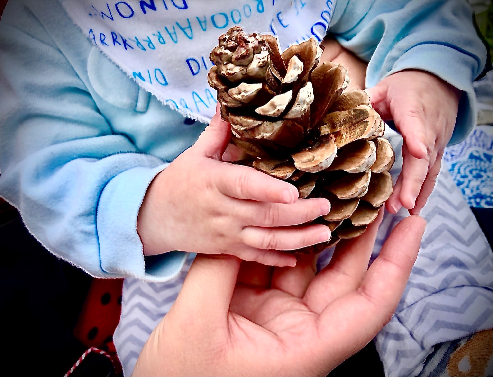 baby holding a pinecone