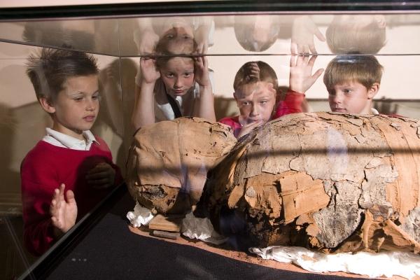 4 school children looking at an Ancient Egyptian mummy in a glass display case