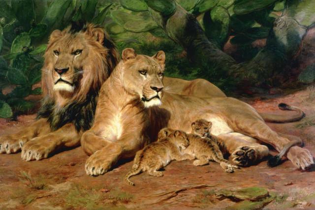 A painting of a pride of lions. There are two adults and three cubs